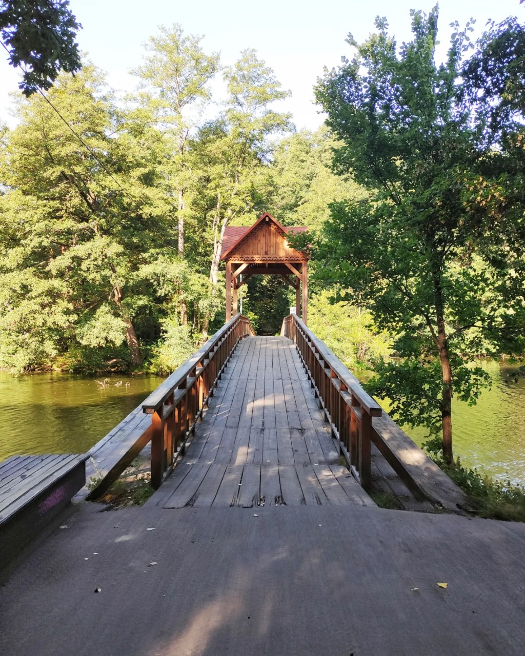 ПУЩА-ВОДИЦЯ